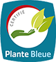 Plante bleue